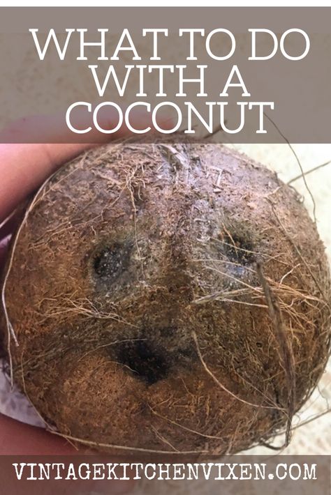 What To Do With Raw Coconut, What To Do With Fresh Coconut, How To Eat A Coconut, Whole Coconut Recipes, What To Do With A Coconut, How To Open A Coconut, Coconut Uses, Open A Coconut, Nuts Recipes