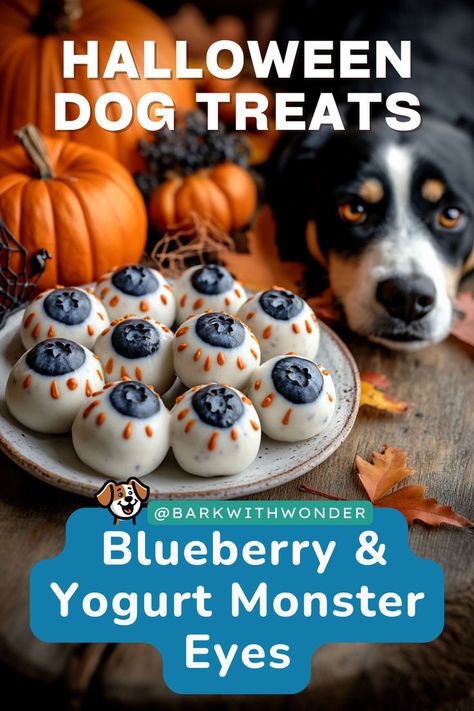 Make these Homemade Blueberry & Yogurt Monster Eyes for your dog this Halloween! A nutritious and spooky treat that’s easy to make. #barkwithwonder #homemadedogtreats #homemadedogfood #halloweendogtreats #healthytreats #dogrecipes Halloween Dog Treats, Dog Treats Homemade, Pet Treats Recipes, Blueberry Yogurt, Easy Dog Treat Recipes, Dog Treats Homemade Easy, Healthy Halloween Treats, Easy Dog Treats, Monster Eyes