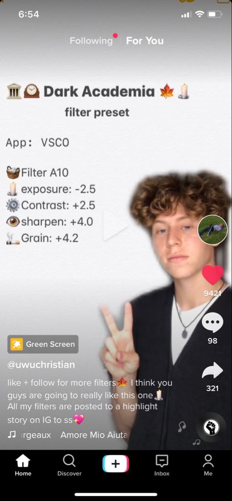 Dark Academia Vsco Filter, Iphone Camera Roll Filters, Dark Academia Filter, Photo Editing Apps Iphone, Preset Filter, Filter Photography, Editing Filters, Bookstagram Ideas, Photo Filters Apps