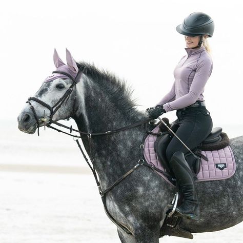 Esme Higgs, Equestrian Outfit, Horse Riding Outfit, Cute Horse Pictures, Beautiful Horse Pictures, Horse Riding Equestrian, Cute Dogs Images, Horse Riding Clothes, Equestrian Girls