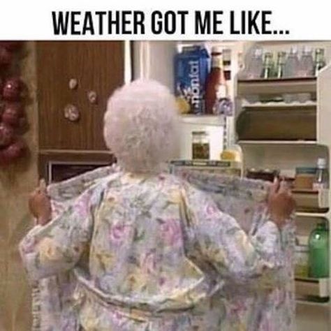 Golden Girls Humor, Hot Weather Humor, Weather Memes, Hate Summer, Weather Quotes, Betty White, La Girl, Golden Girls, Hot Weather