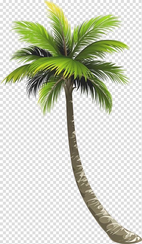 Palm Trees Design, Tree Transparent Background, Coconut Tree Drawing, Beach Trees, Palm Tree Png, Palm Tree Drawing, Tree Photoshop, Tree Drawings, Beach Png