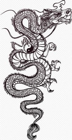 Naga Tattoo, 3 Headed Dragon, Tattoo Care Instructions, Long Lasting Temporary Tattoos, Chinese Dragon Tattoos, Realistic Temporary Tattoos, Chinese Illustration, Magic Tattoo, Tattoo Care