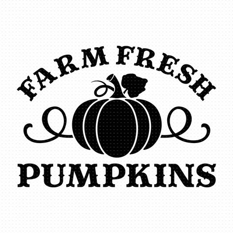 Farm Fresh Pumpkins Svg, Cricut Stencils Templates, Fall Svg Shirts, Silhouette Cameo Projects Beginner, Pumpkins Decor, Cricut Explore Air Projects, Farm Fresh Pumpkins, Fresh Pumpkin, Door Signs Diy