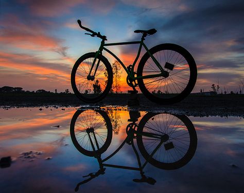 ฺBike. by Khatawut J on 500px Bike Pictures Photo Ideas, Prospective Art, Bicycle Photoshoot, Cycle Photography, Cycle Photo, Bike Logos Design, Mountain Biking Photography, Bicycle Photography, Bike Pictures