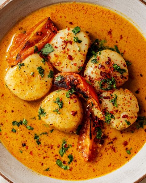 Spicy Coconut Curry Scallops | Tried and True Recipes Cod And Scallop Recipes, Scallop Dinner Ideas Meals, Fall Scallop Recipes, Lobster And Scallops Recipes, Mexican Scallops, Indian Seafood Recipes, Fall Seafood Recipes, Asian Seafood Recipes, Amalfi Coast Food