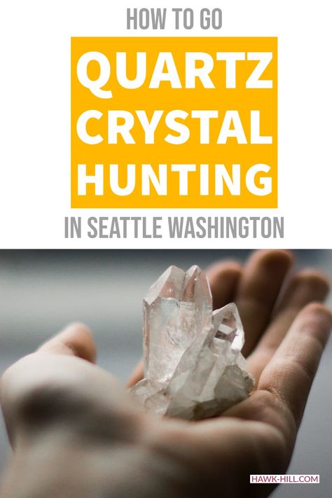 Washington Rockhounding, Pnw Vacation, Rockhounding Washington, Crystal Hunting, Gem Hunting, Gem Hunt, Rock Club, Rock Hunting, Odd Things