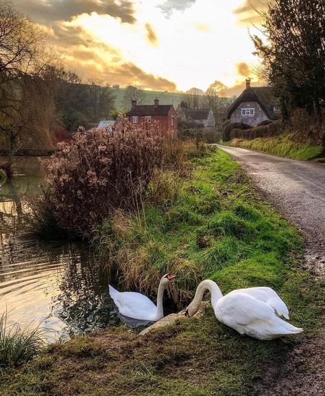 https://www.instagram.com/p/CIsGGvfsv2Y/?igshid=1pl6rivh4dhns English Cottage Exterior, English Countryside Aesthetic, English Countryside Home, Cottage Nature, Cottages England, Life In Nature, English Cottage Interiors, British Cottage, Cotswolds Cottage