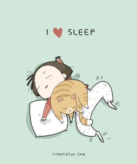 Person Sleeping, Kitten Quotes, Gatos Cool, Love Sleep, I Love Sleep, Cat Comics, Super Cat, Fun Toys, Funny Illustration