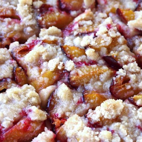 Authentic Zwetschgenkuchen (German Plum Cake) German Plum Cake, Plum Butter, German Cake, German Desserts, Plum Recipes, German Baking, Jelly Roll Pan, Plum Cake, Shortcrust Pastry