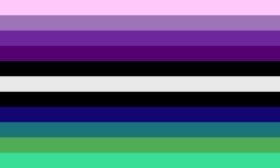 A xenogender connected to the concept of voidpunk (reclaiming dehumanization) Gender Spectrum, Gender Pronouns, Gender Flags, Feeling Disconnected, Mexico Flag, Lgbt Flag, Lgbtq Flags, Kandi Patterns, Religious Symbols