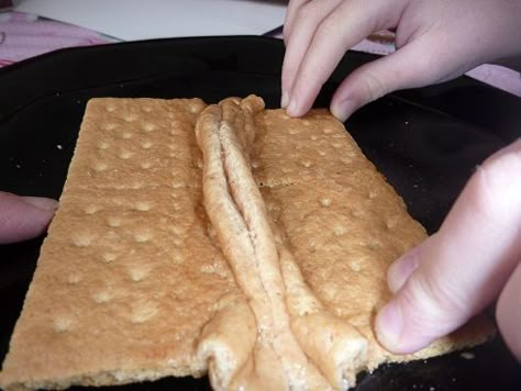 We took two graham crackers and placed them on a plate with a bit of water.  Before they became too soggy, LD and I pushed our crustal plates (ie graham crackers) together.  This, I told him, is what is happening in India as it pushes into Eurasia.  "COOL!  Mountains!"  LD exclaimed! And do you know what mountains this would be? the tallest ones in the world?  "Oh yes, the Himalayas."  What a terrific teaching moment! Earth Science Activities, Plate Movement, Cc Cycle 1, 4th Grade Science, 6th Grade Science, Earth And Space Science, 5th Grade Science, Plate Tectonics, Science Units