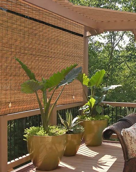 12 Life-Changing Balcony Privacy Ideas - Tiny Partments Privacy On Balcony, Apartment Patio Privacy Ideas, Apartment Patio Privacy, Apartment Balcony Privacy Ideas, Outdoor Privacy Screen Ideas, Patio Privacy Ideas, Balcony Privacy Ideas, Patio Balcony Ideas, Porch Privacy