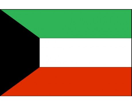 Kuwait Flag Kuwait Flag, Greyscale Colour, Kuwait National Day, World Country Flags, Middle Eastern History, Persian Gulf, African Flag, Western Asia, Asian Countries