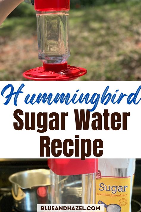 Hummingbird Sugar Water, Hummingbird Recipe, Hummingbird Feeder Recipe, Hummingbird Food Recipe, Sugar Water For Hummingbirds, Make Hummingbird Food, Homemade Hummingbird Nectar, Homemade Hummingbird Food, Hummingbird Nectar Recipe