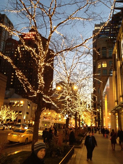 Christmas on Michigan Ave. Emo Christmas, Chicago Winter, Christmas Town, Lovely Places, Be The Light, Beautiful Sights, America The Beautiful, Winter Wonder, North Dakota