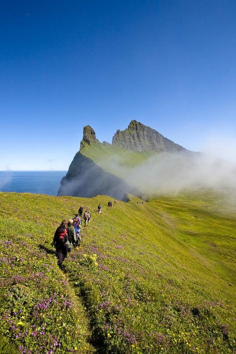 West Tours: Hornvik - Hike to the King and Queen of Cliffs. - See 63 traveler reviews, 79 candid photos, and great deals for Isafjordur, Iceland, at TripAdvisor. Isafjordur Iceland, Voyage Europe, Iceland Travel, Reykjavik, Beautiful Scenery, Oh The Places Youll Go, Sunny Day, Where To Go, Travel Dreams