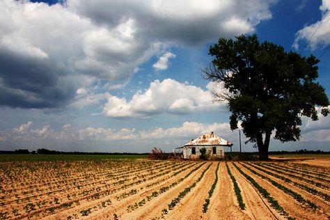 Mississippi Delta Mississippi Delta Photography, Mississippi Aesthetic, Mississippi Landscape, Mississippi Photography, Paper Mosaics, Mississippi Delta Blues, No Income, Oxford Mississippi, Southern Art