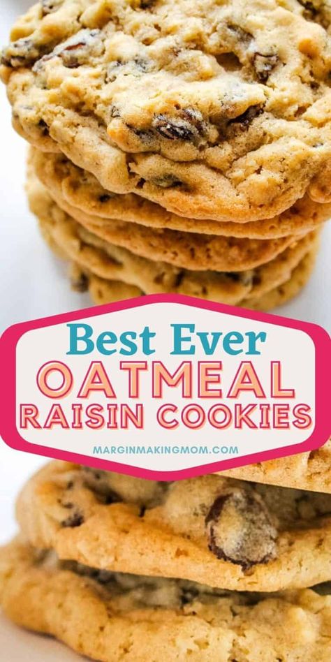 Raisin Oatmeal Cookies, Soft Oatmeal Raisin Cookies, Easy Oatmeal Raisin Cookies, Raisin Oatmeal, Oatmeal Cookies Recipes Easy, Best Oatmeal Raisin Cookies, Soft Batch, Batch Recipes, Cookie Recipes Oatmeal Raisin