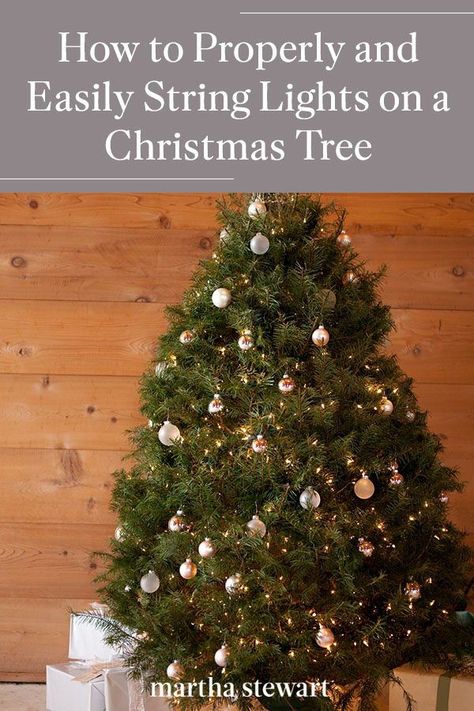 Follow these Christmas tree decorating tips to ensure the best and safest way to apply Christmas lights on your holiday tree this year. Plus, why wrapping the lights around your tree a certain way will help you easily remove them once the holiday ends. #christmas #holidayideas #christmasideas #wintertodo #marthastewart Stringing Lights On A Tree, Christmas Lights For Tree, How To Wrap Christmas Lights Around Tree, Fill Holes In Christmas Tree, Best Way To Light A Christmas Tree, Best Lights For Christmas Tree, Lighting Christmas Tree, Stringing Lights On A Christmas Tree, Globe Lights On Christmas Tree