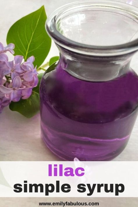 Lilac Simple Syrup, Lilac Syrup, Ice Cream Syrup, Flowers Recipes, Tea Desserts, Simple Syrup Recipe, Coffee Desserts, Edible Flowers Recipes, Purple Food Coloring