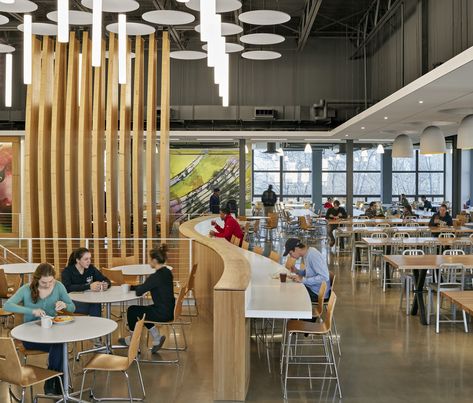 The overall space features a variety of student seating areas. College Dining Hall, University Cafeteria, Canteen Design, Cafeteria Design, School Cafe, Architecture Restaurant, School Interior, School Cafeteria, School Campus