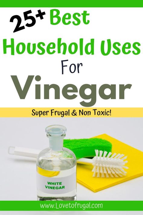 Vinegar is not only amazing, but it's an extremely frugal option for tons of uses around the home. Here's over 25 great uses for vinegar that can you save you money and is totally safe to use. - Love To Frugal #vinegar #frugaltips #moneysavingtips Uses For Vinegar, Display Collections, Types Of Vinegar, Make Your Home Smell Amazing, Healthy Lungs, Diy Air Freshener, Vinegar Uses, Home Smell, Vinegar Cleaning