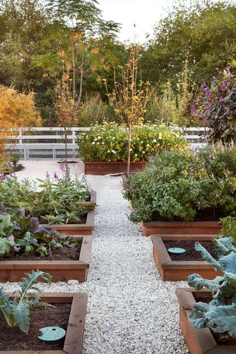 We Are the Gardeners: Joanna Gaines on Her New Book, Gardening Mistakes, and More Joanna Gaines Garden, Beds Diy, Backyard Garden Layout, Garden Layout Vegetable, Potager Garden, Garden Design Layout, Vegetable Garden Design, Garden Layout, Veggie Garden