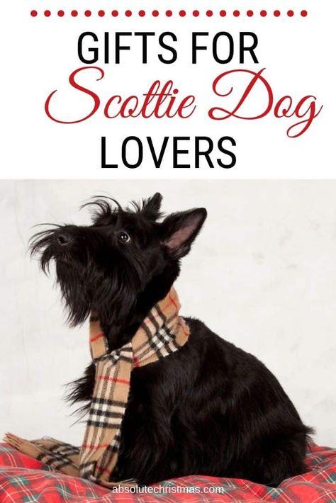 Gifts for Scottish Terrier Lovers - Scottie dog gifts and collectibles - Scottie dog Christmas gifts #giftguide #christmasgifts Scottish Gifts Ideas, Scottie Dog Crafts, Scottie Dog Puppy, Scottie Dog Christmas, Scottie Puppies, Scottie Terrier, Scotty Dog, Dog Things, Scotland Yard