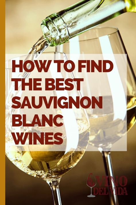 Wine Tasting Guide, Sauvignon Blanc Wine, Wine Variety, Wine 101, Merlot Wine, Wine Subscription, Wine Education, Wine Selection, Wine Club