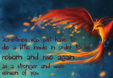 QUOTE #phoenix Phoenix Quotes Men, Phoenix Sayings Quotes, When Your Heart Is Heavy, Dark Gothic Tattoo, Phoenix Quotes, Favor Quotes, Energy Healing Quotes, Harry Potter Words, Phoenix Bird Art