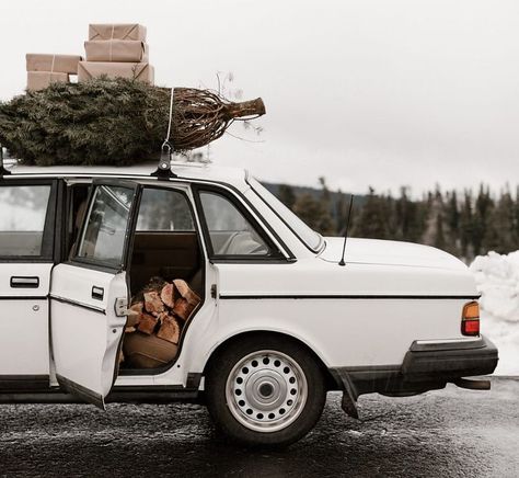 Car With Christmas Tree On Top, Christmas Tree On Car, Car Christmas Tree, Winter Aesthetics, Old American Cars, Holiday Car, Vintage Christmas Photos, Aussie Christmas, Winter Car