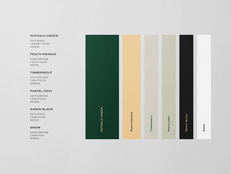 The Green Room Luxury Branding Identity, Pantone Palette, Graphic Design Brochure, Portfolio Design Layout, Industrial Design Sketch, Green Room, Brand Color Palette, Green Colour Palette, Packing Design