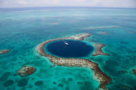 Blue Hole - Andros Island Bahamas The Great Blue Hole, Blue Hole Belize, Bahamas Honeymoon, Great Blue Hole, Ocean Ecosystem, Blue Hole, Scuba Dive, Water Adventure, Destination Voyage