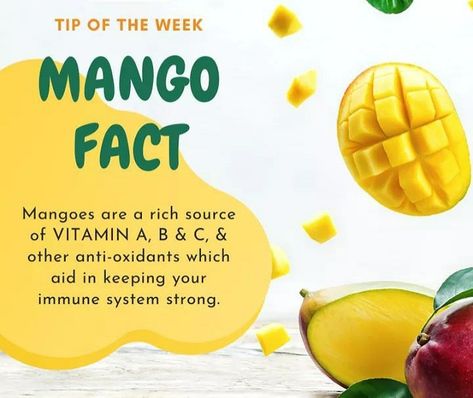 Did You Know? Mangoes are a rich source of Vitamin A, Vitamin B, Vitamin C, and other antioxidants, which aid in keeping your immune system strong. The king of fruits is also the king of your health. So, enjoy the season’s favorite fruit without any guilt. #Mangoes #FoodFacts #Foodie #HealthyFood #Nutrition #Food #CleanEating #HealthyEating #NutritionFacts #daulatsteel #daulatindustries #HealthyLifestyle #Snacks #Healthy #Calories #EatClean #FreshFood #Fitness #EatSmart #summerishere Mango Nutrition Facts, Mango Nutrition, Mango Images, Mango Vitamins, Healthy Calories, Mango Benefits, Food Health Benefits, Nutrition Food, Snacks Healthy