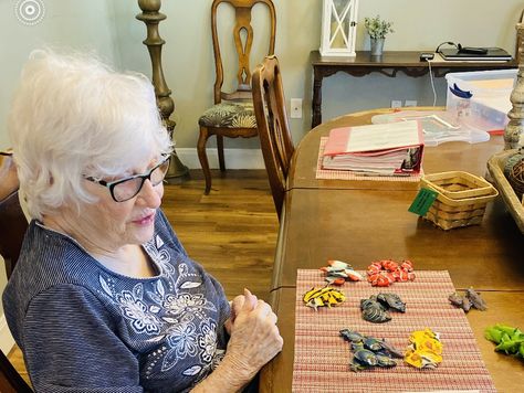 using sifting and sorting bins for memory care Memory Care Unit, Memory Care Activities, Busy Boxes, Senior Activities, Memory Problems, Memory Care, Volunteer Opportunities, Physical Wellness, Fine Motor Skills