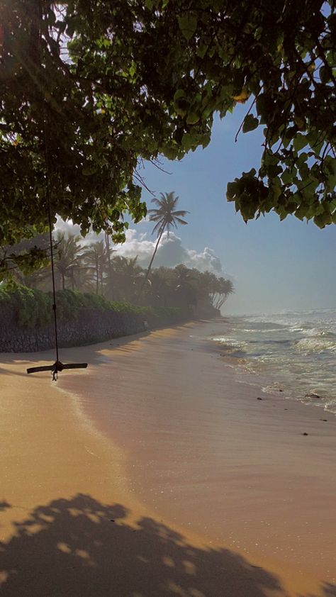 Palm Trees Aesthetic, Beach With Palm Trees, Galle Sri Lanka, Trees Aesthetic, Sri Lanka Beach, Sri Lanka Travel, Healthy Liver, Dream Travel Destinations, Nature Aesthetic