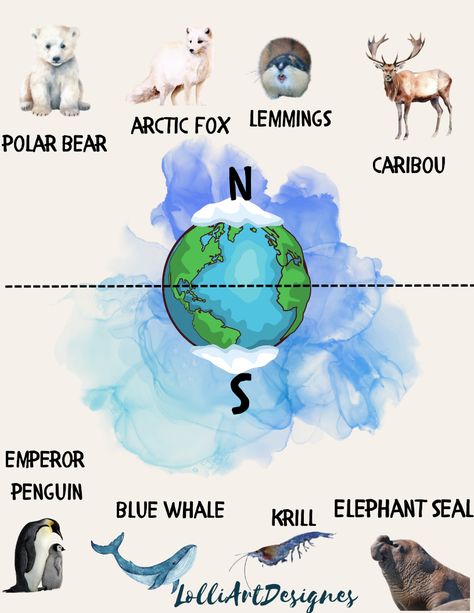 Polar regions of the Antarctica, the North Pole and the South Pole Arctic Animals Activites Polar Bear Worksheets, Antarctica Animals, Penguin Worksheets, Arctic Animals Activities, North Pole Animals, Animals Worksheet, Word Tracing, Counting Worksheet, Antarctic Animals