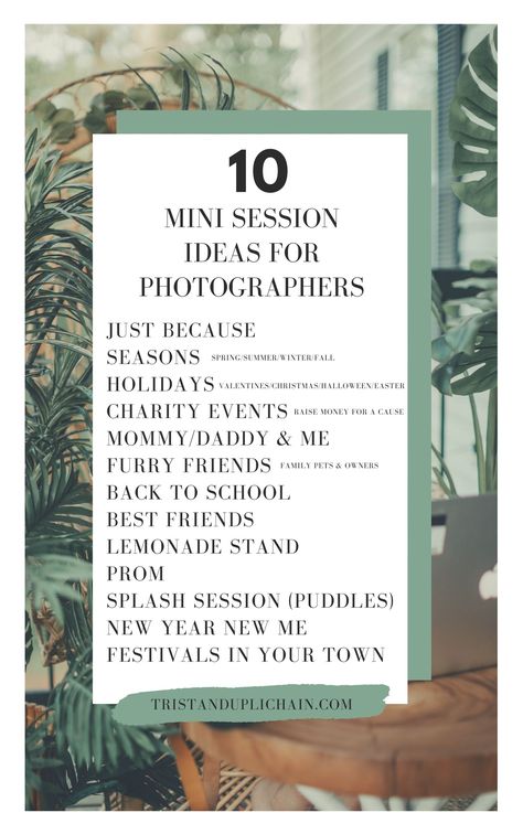 Easy Mini Session Ideas, Christmas Mini Session Advertisement, Photo Session Giveaway Ideas, Photoshoot Session Ideas, Photography Inspo For Beginners, Photography Business Advertising, Mini Photo Session Ideas January, Photo Minis Ideas, Photography Specials Ideas