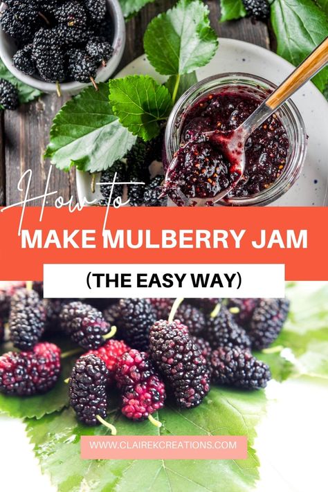 Mulberry jam recipe Mulberry Syrup Recipe, Mulberry Jelly Recipe, Mulberry Jam Recipe, Jam Without Pectin, Mulberry Jam, Mulberry Recipes, Mulberry Fruit, Freezer Jam Recipes, Jam Recipes Homemade