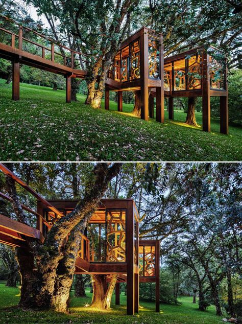 Bridge Idea Two House Connected, Modern Treehouse, Biophilic Architecture, Tree Building, Modern Tree House, Houses Modern, Forest Home, Micro House, Reception Room