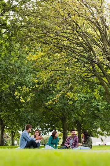 Premium Photo | Photo college students sitting on grass in park Person Photo, Inspiration Painting, Image Ideas, Photo Photo, Art Inspiration Painting, Photo Inspo, Vector Photo, Photoshoot Ideas, Premium Photo