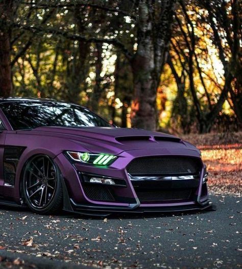 Purple Mustang, Car Obsession, Gt 500, Cool Car Accessories, Ford Mustang Car, Cars Characters, Shelby Gt, Rx 7, Ford Mustang Shelby