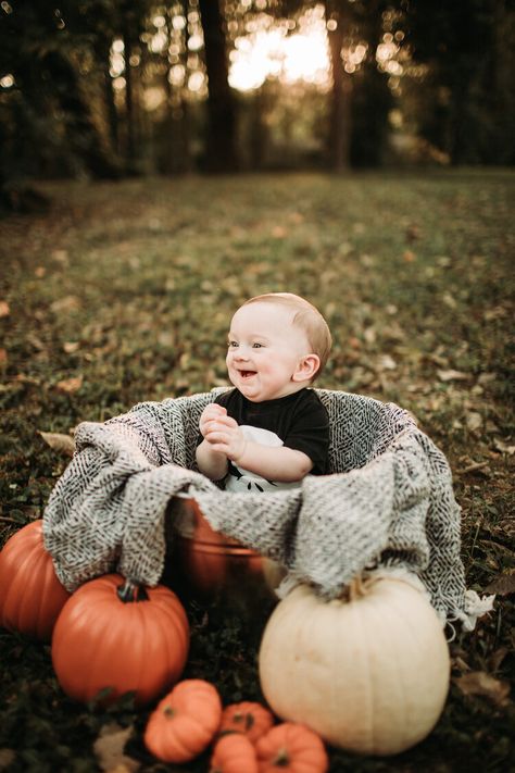 Halloween Baby Pictures, 6 Month Baby Picture Ideas Boy, Fall Baby Photos, Baby Holiday Photos, Fall Baby Pictures, 6 Month Baby Picture Ideas, Month Pictures, Born Photography, September Baby