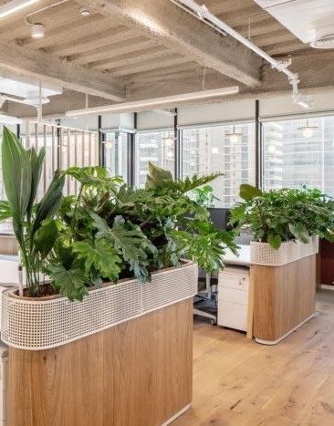 Office With Plants, Scandi Office, Green Office, Space Interiors, Office Plants, Office Interior, Corporate Office, Office Interior Design, Green Design