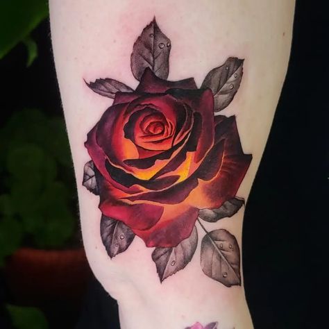 Black Rose With Color Tattoo, Red Orange Yellow Tattoo, Red And Yellow Rose Tattoo, Sun Fire Tattoo, Gold Rose Tattoo, Fire Flower Tattoo, Orange Rose Tattoo, Burning Rose Tattoo, Rose On Fire Tattoo