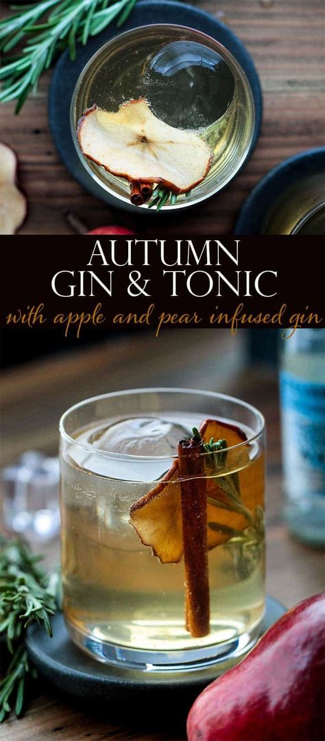 Infused Gin, Tonic Recipe, Boozy Drinks, Citrus Juice, Dried Apples, Fall Cocktails, Cocktail Drinks Recipes, Fall Drinks, Fall Spices