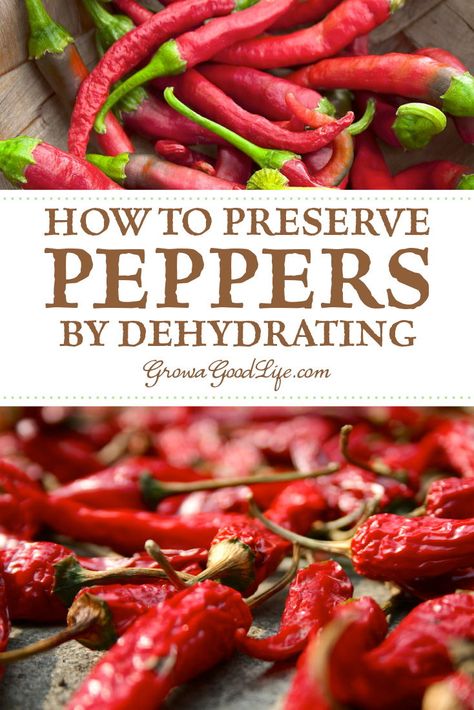 How To Dry Chilli Peppers, Preserve Chili Peppers, How To Dehydrate Cayenne Peppers, How To Dehydrate Hot Peppers, Dehydrate Hot Peppers, How To Dehydrate Peppers In Dehydrator, How To Dehydrate Chili Peppers, Dehydrating Hot Peppers In Dehydrator, Dehydrate Chili Peppers