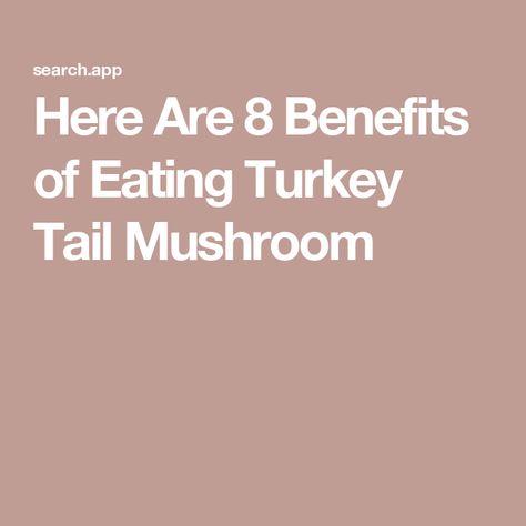 Here Are 8 Benefits of Eating Turkey Tail Mushroom Turkey Tail Mushroom Benefits, Grow Mushrooms, Mushroom Benefits, Turkey Tail Mushroom, Turkey Tail, Mushroom Powder, Cooking Turkey, Skin Benefits, Get Fit