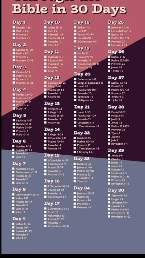 bible verse  to read every day 6 Month Bible Reading Plan, What Each Book Of The Bible Is About, Bible Verse To Read, Pretty Bibles, Read Every Day, Daily Bible Reading Plan, Bible Guide, Learn The Bible, Christian Content